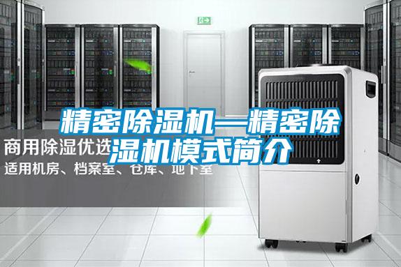 欧美黄色电影在线播放 精密除湿机—精密除湿机模式简介