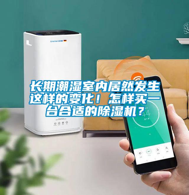 欧美黄色性爱视频网站 长期潮湿室内居然发生这样的变化！怎样买一台合适的除湿机？