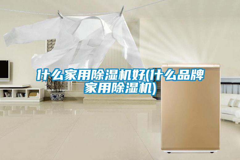 欧美黄色电影在线播放 什么家用除湿机好(什么品牌家用除湿机)