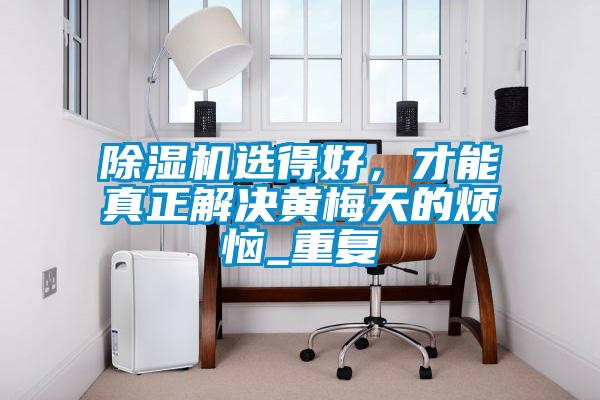 欧美成色手机在线观看 除湿机选得好，才能真正解决黄梅天的烦恼_重复