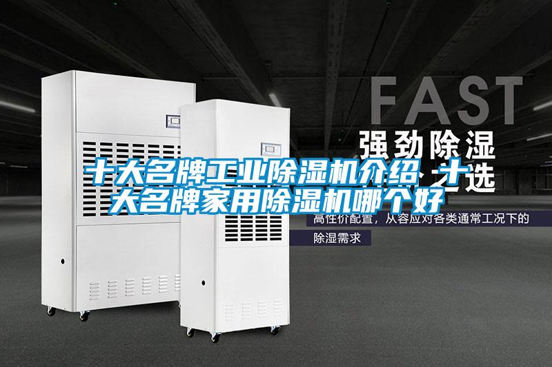 欧美黄色性爱视频网站 十大名牌工业除湿机介绍 十大名牌家用除湿机哪个好