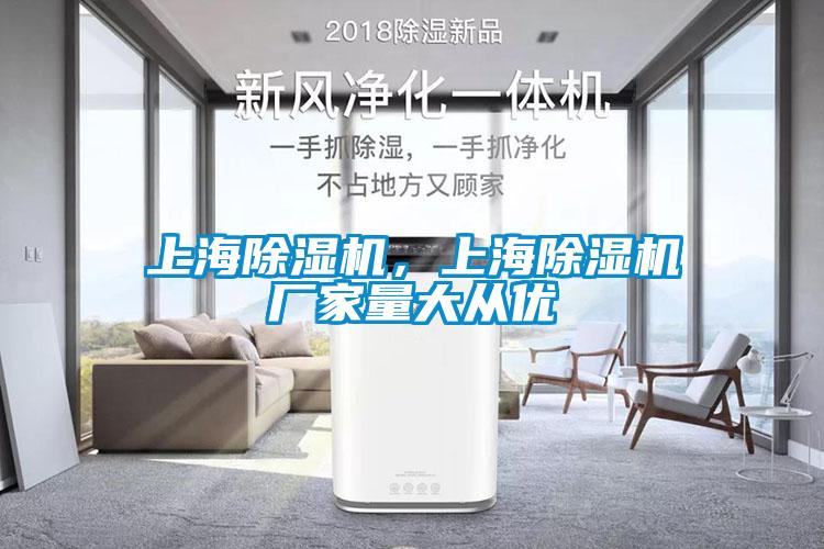 欧美黄色性爱视频网站 上海除湿机，上海除湿机厂家量大从优