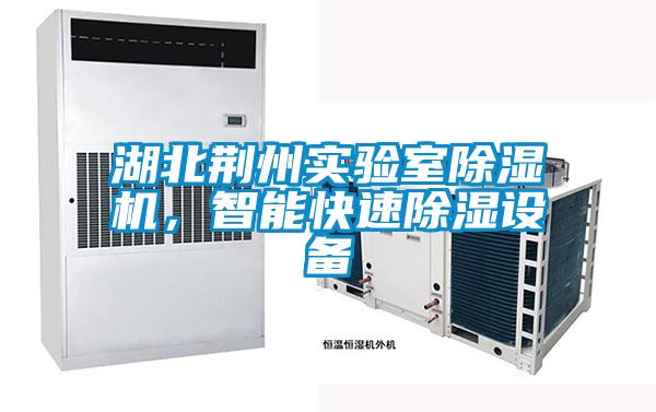 欧美成色手机在线观看 湖北荆州实验室除湿机，智能快速除湿设备