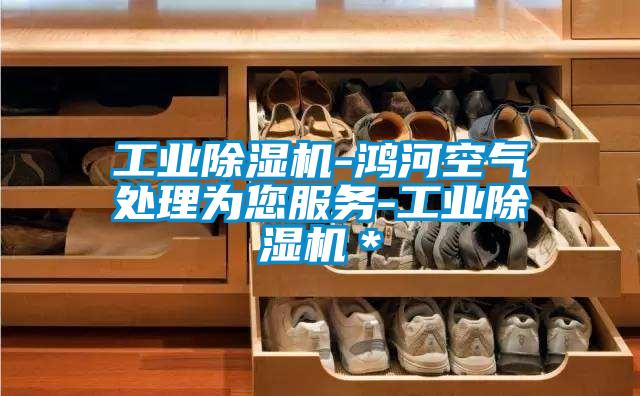 欧美成色手机在线观看 工业除湿机-鸿河空气处理为您服务-工业除湿机＊