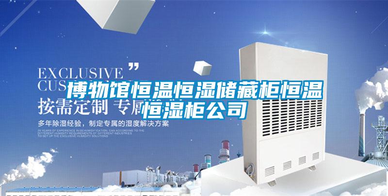 欧美黄色性爱视频网站 博物馆恒温恒湿储藏柜恒温恒湿柜公司