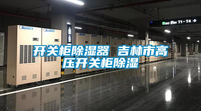 欧美黄色电影在线播放 开关柜除湿器 吉林市高压开关柜除湿