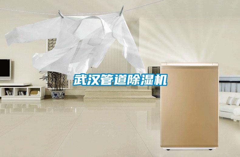 欧美成色手机在线观看 武汉管道除湿机
