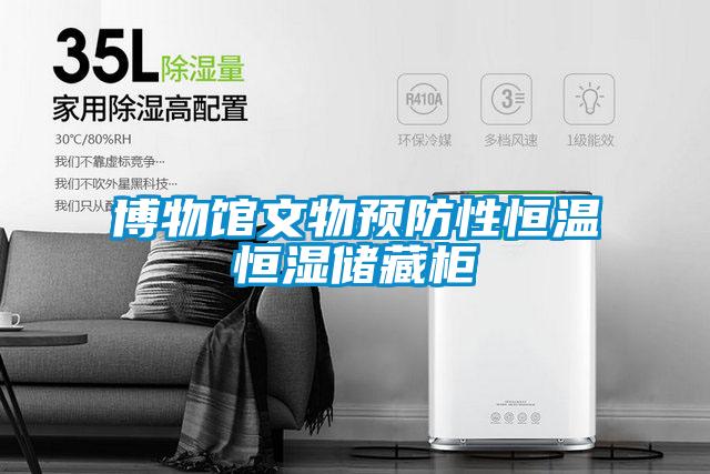 欧美黄色电影在线播放 博物馆文物预防性恒温恒湿储藏柜