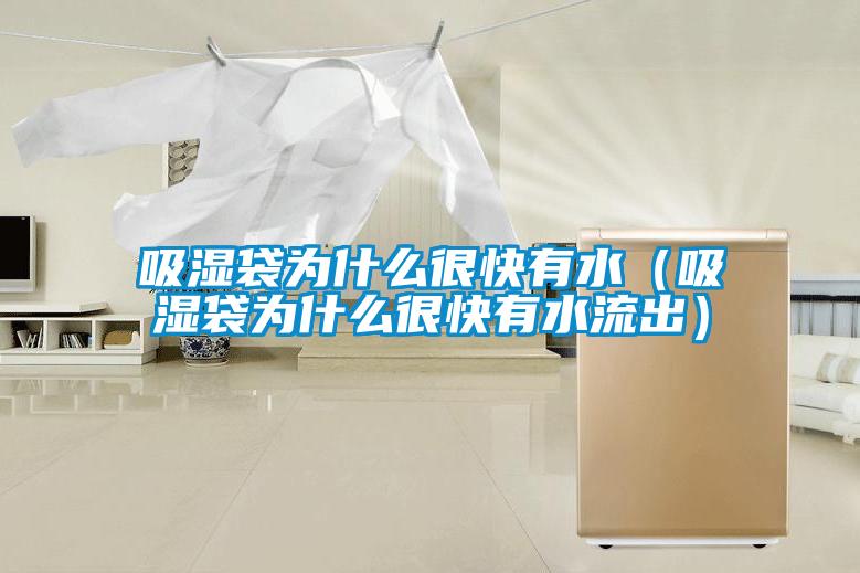 欧美黄色电影在线播放 吸湿袋为什么很快有水（吸湿袋为什么很快有水流出）