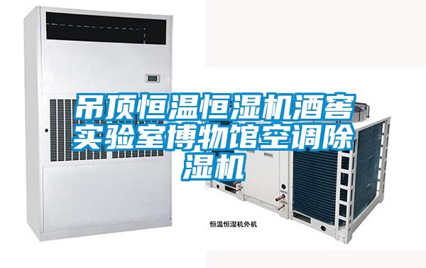 欧美成色手机在线观看 吊顶恒温恒湿机酒窖实验室博物馆空调除湿机
