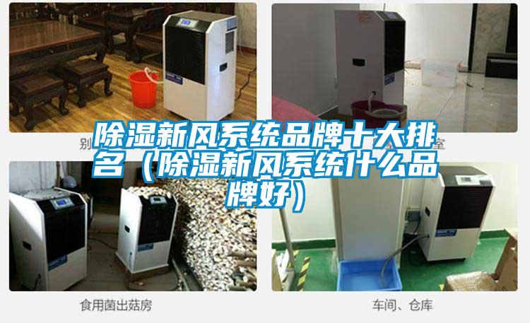 欧美黄色电影在线播放 除湿新风系统品牌十大排名（除湿新风系统什么品牌好）