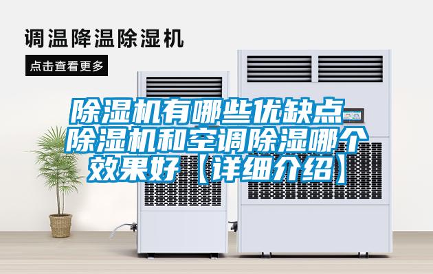 欧美黄色电影在线播放 除湿机有哪些优缺点 除湿机和空调除湿哪个效果好【详细介绍】