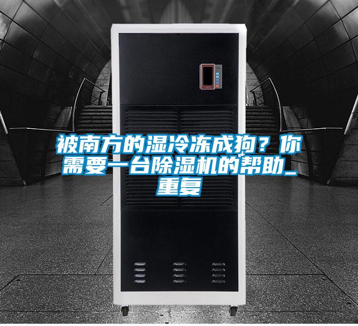 欧美成色手机在线观看 被南方的湿冷冻成狗？你需要一台除湿机的帮助_重复