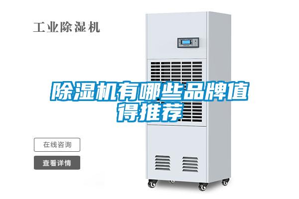 欧美黄色电影在线播放 除湿机有哪些品牌值得推荐