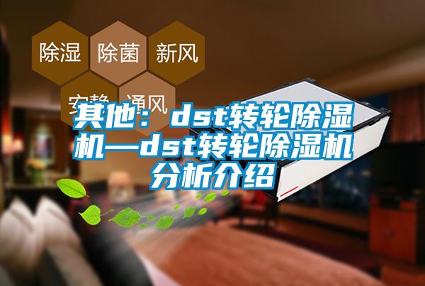 欧美黄色性爱视频网站 其他：dst转轮除湿机—dst转轮除湿机分析介绍