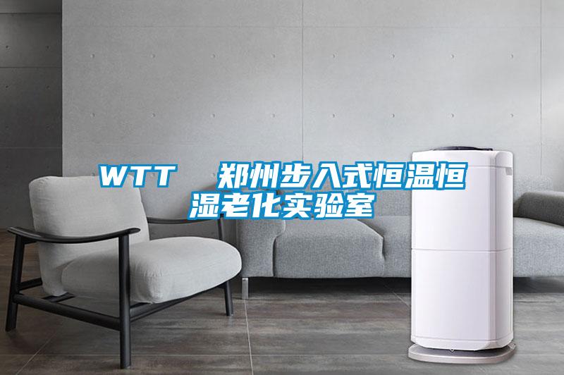 欧美黄色电影在线播放 WTT  郑州步入式恒温恒湿老化实验室