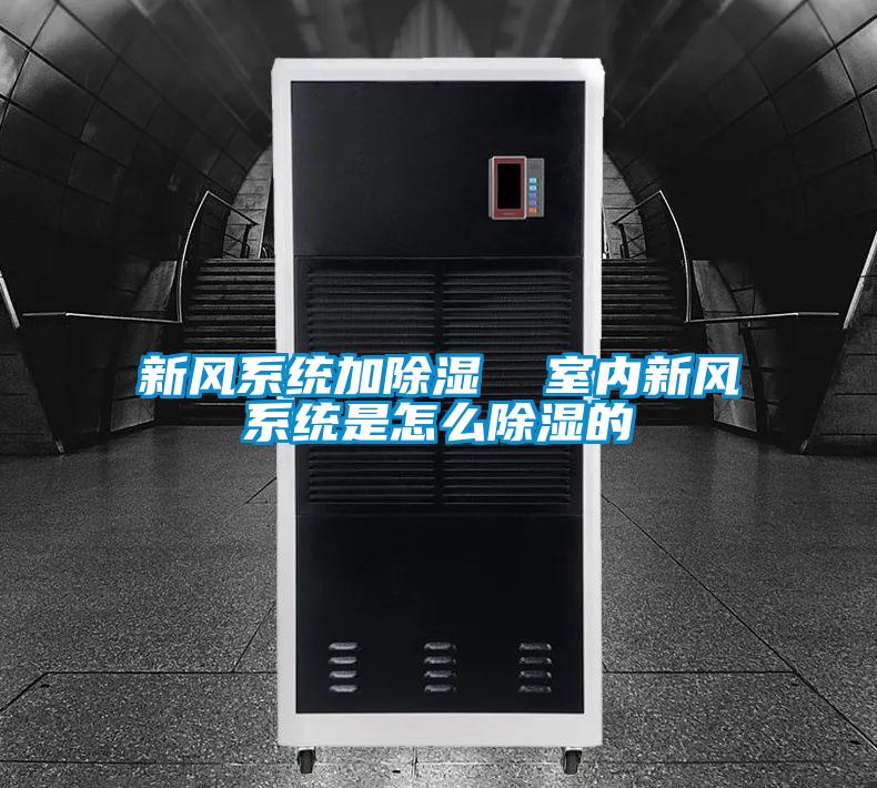 欧美成色手机在线观看 新风系统加除湿  室内新风系统是怎么除湿的