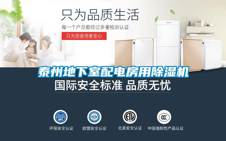 欧美黄色电影在线播放 泰州地下室配电房用除湿机