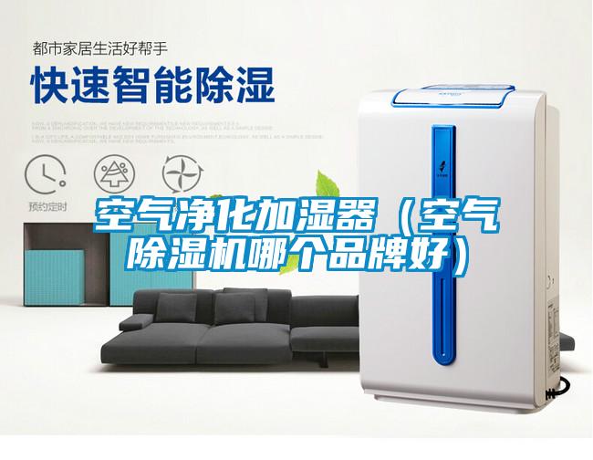 欧美黄色性爱视频网站 空气净化加湿器（空气除湿机哪个品牌好）