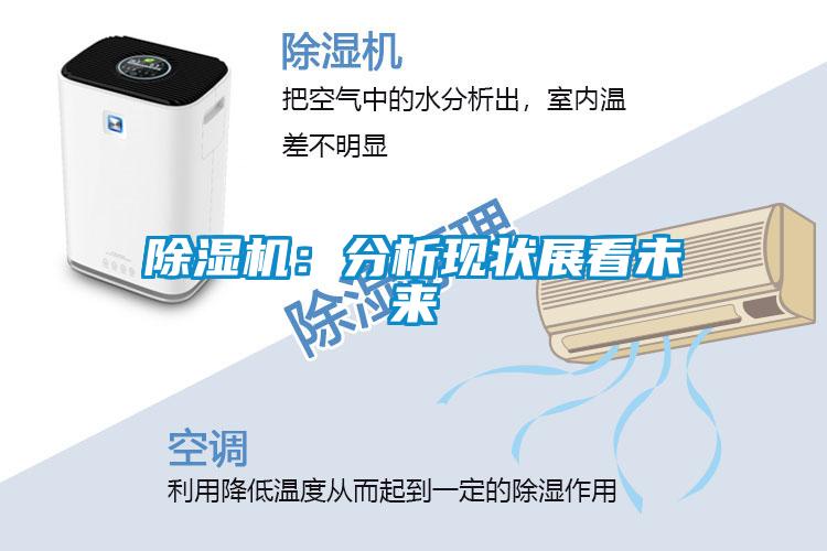 欧美成色手机在线观看 除湿机：分析现状展看未来