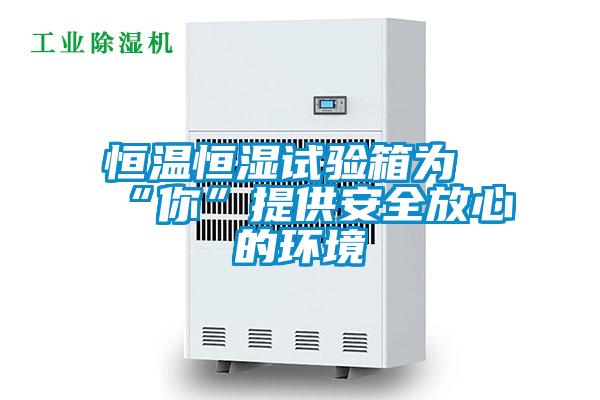 欧美黄色电影在线播放 恒温恒湿试验箱为“你”提供安全放心的环境