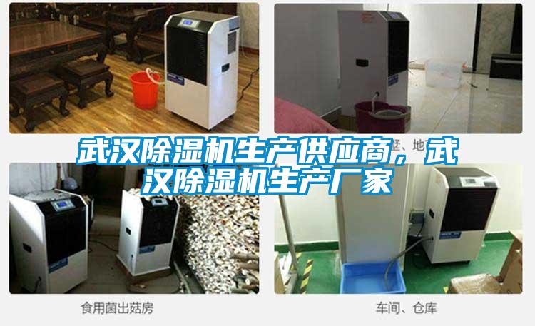 欧美黄色电影在线播放 武汉除湿机生产供应商，武汉除湿机生产厂家