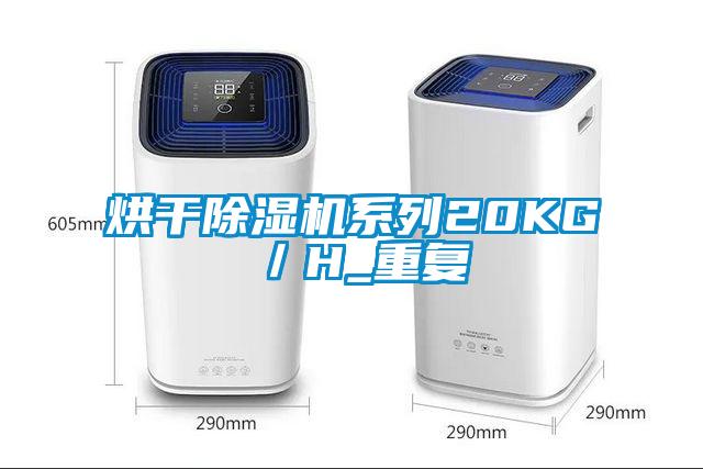 欧美黄色性爱视频网站 烘干除湿机系列20KG／H_重复