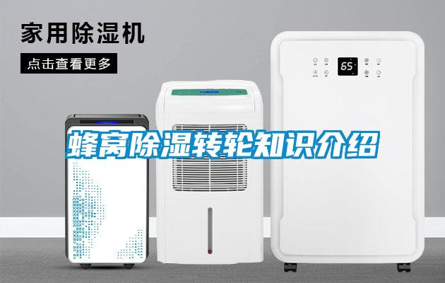 欧美成色手机在线观看 蜂窝除湿转轮知识介绍