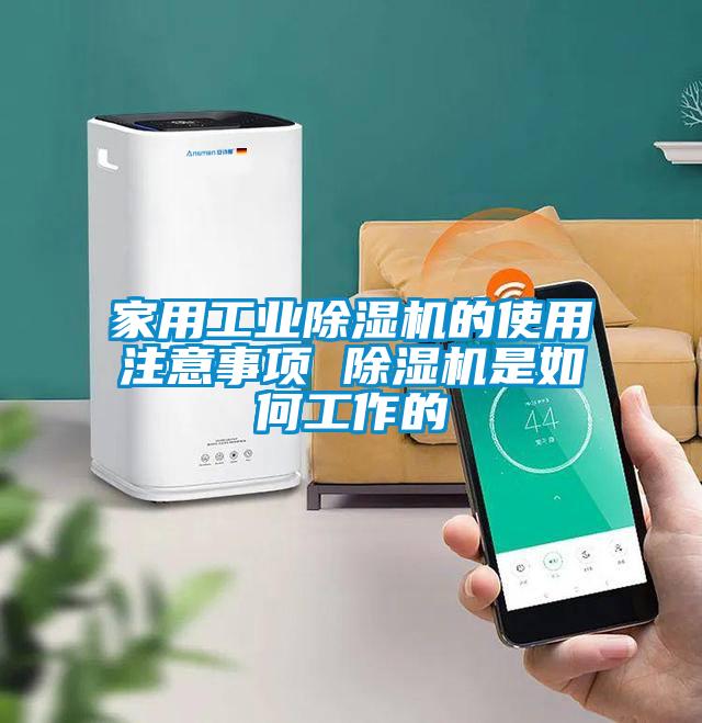 欧美黄色性爱视频网站 家用工业除湿机的使用注意事项 除湿机是如何工作的