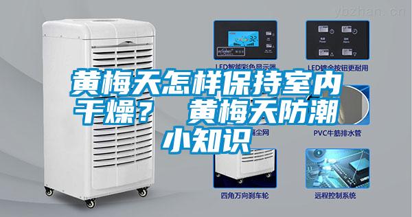 欧美成色手机在线观看 黄梅天怎样保持室内干燥？ 黄梅天防潮小知识