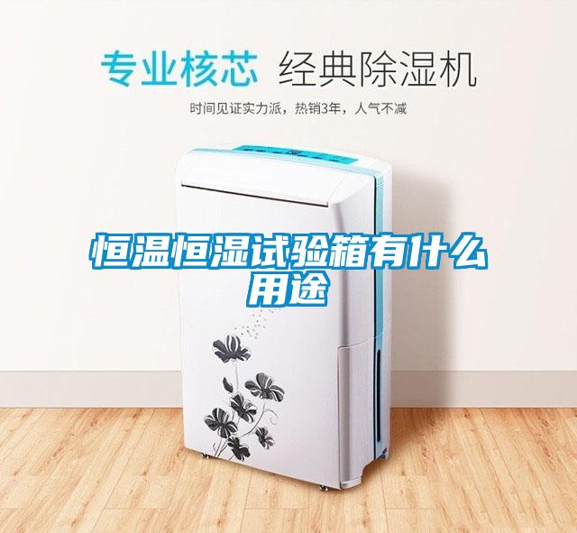 欧美黄色电影在线播放 恒温恒湿试验箱有什么用途