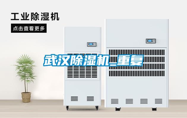 欧美成色手机在线观看 武汉除湿机_重复
