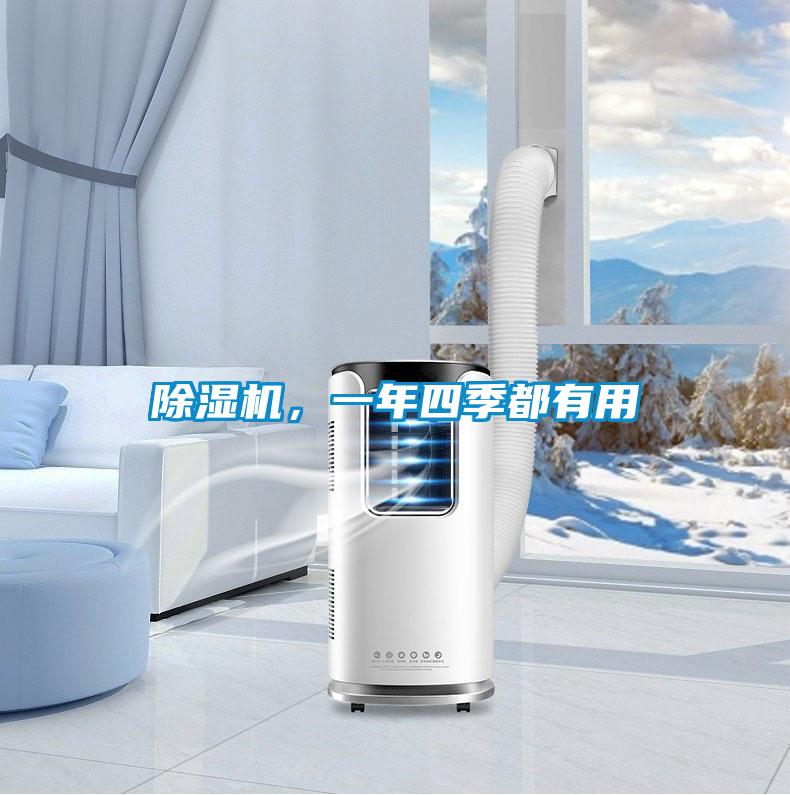 欧美成色手机在线观看 除湿机，一年四季都有用