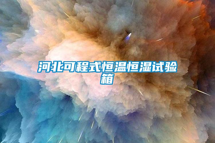 欧美成色手机在线观看 河北可程式恒温恒湿试验箱