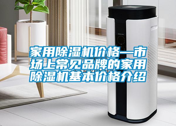 欧美黄色电影在线播放 家用除湿机价格—市场上常见品牌的家用除湿机基本价格介绍