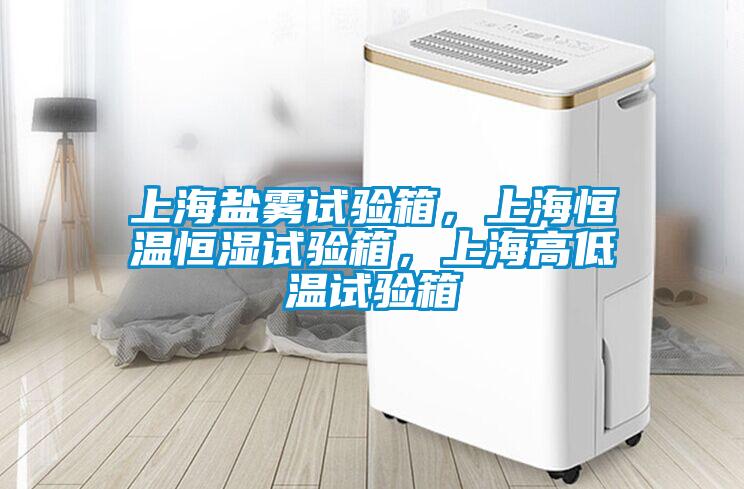 欧美黄色性爱视频网站 上海盐雾试验箱，上海恒温恒湿试验箱，上海高低温试验箱