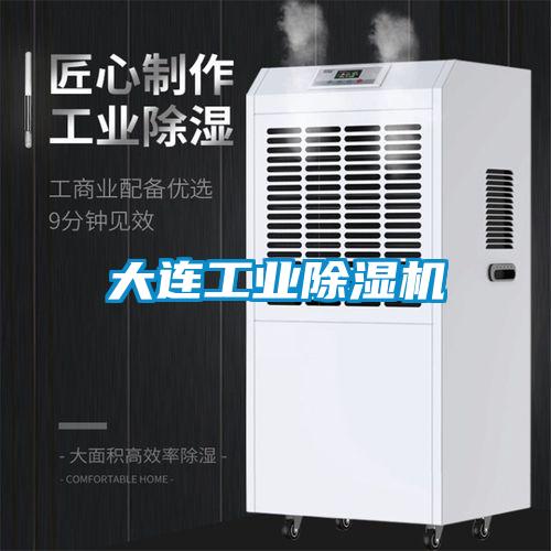欧美黄色电影在线播放 大连工业除湿机
