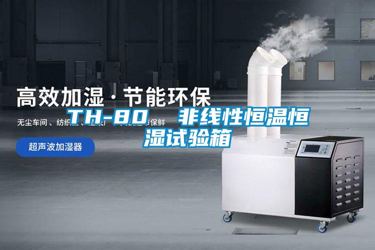 欧美黄色电影在线播放 TH-80  非线性恒温恒湿试验箱