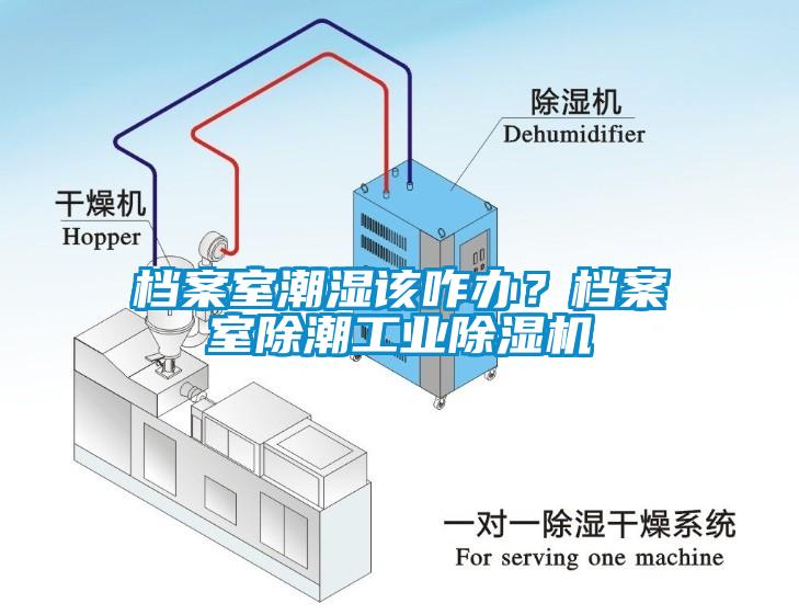欧美黄色电影在线播放 档案室潮湿该咋办？档案室除潮工业除湿机