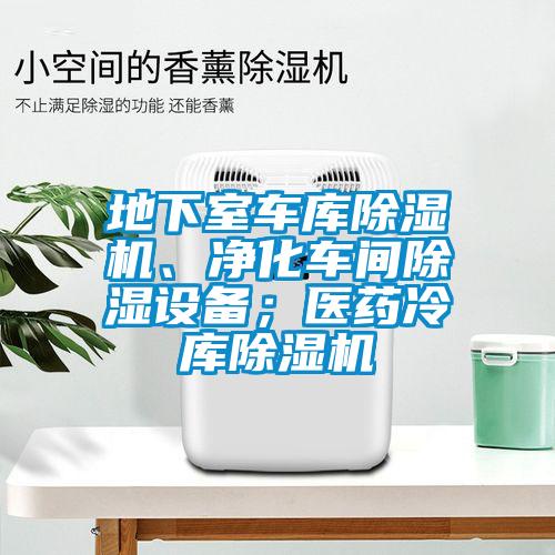 欧美黄色电影在线播放 地下室车库除湿机、净化车间除湿设备；医药冷库除湿机