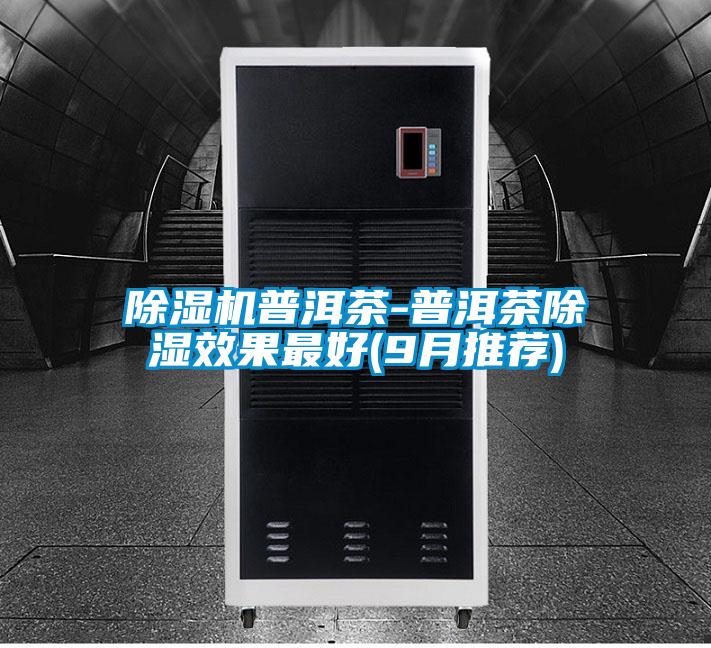 欧美成色手机在线观看 除湿机普洱茶-普洱茶除湿效果最好(9月推荐)