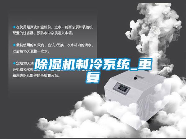 欧美黄色电影在线播放 除湿机制冷系统_重复