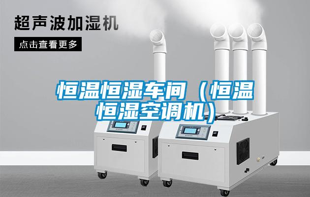 欧美成色手机在线观看 恒温恒湿车间（恒温恒湿空调机）