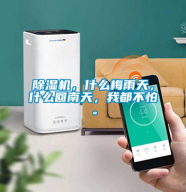 欧美黄色电影在线播放 除湿机，什么梅雨天，什么回南天，我都不怕。