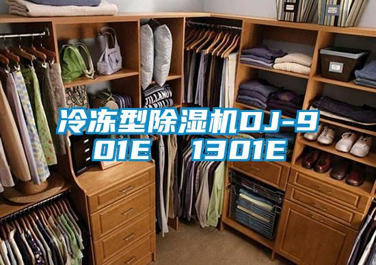 欧美黄色性爱视频网站 冷冻型除湿机DJ-901E  1301E