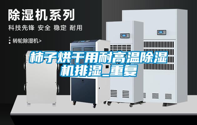 欧美成色手机在线观看 柿子烘干用耐高温除湿机排湿_重复