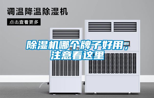欧美黄色性爱视频网站 除湿机哪个牌子好用，注意看这里