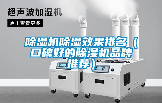 欧美成色手机在线观看 除湿机除湿效果排名（口碑好的除湿机品牌推荐）