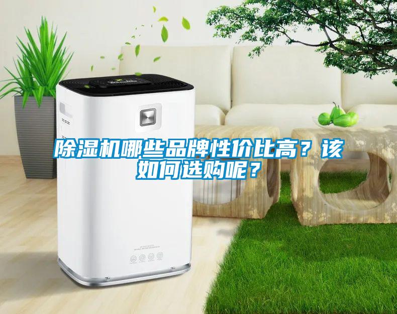 欧美成色手机在线观看 除湿机哪些品牌性价比高？该如何选购呢？