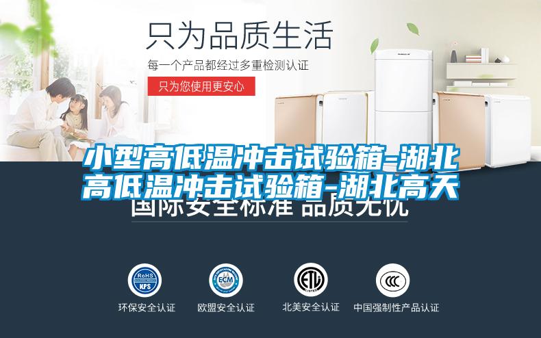 欧美黄色电影在线播放 小型高低温冲击试验箱-湖北高低温冲击试验箱-湖北高天